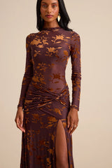 Charlize Brown Sheer Mesh Velvet Burnout Maxi Dress