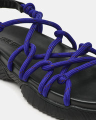 CONNIE COBALT