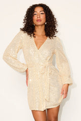 Sparkly Darling Silver Sequin Long Sleeve Wrap Dress