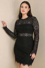 Appetite for Seduction Black Lace Long Sleeve Dress