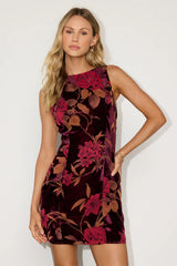 Taslin Dark Brown Velvet Sleeveless Mini Dress