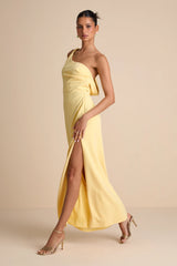 Maevyn Blue Cowl Back Column Maxi Dress