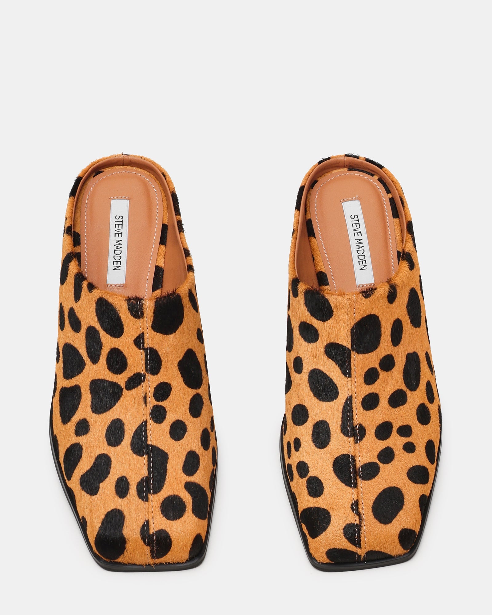 DELPHY SPOTTED LEOPARD