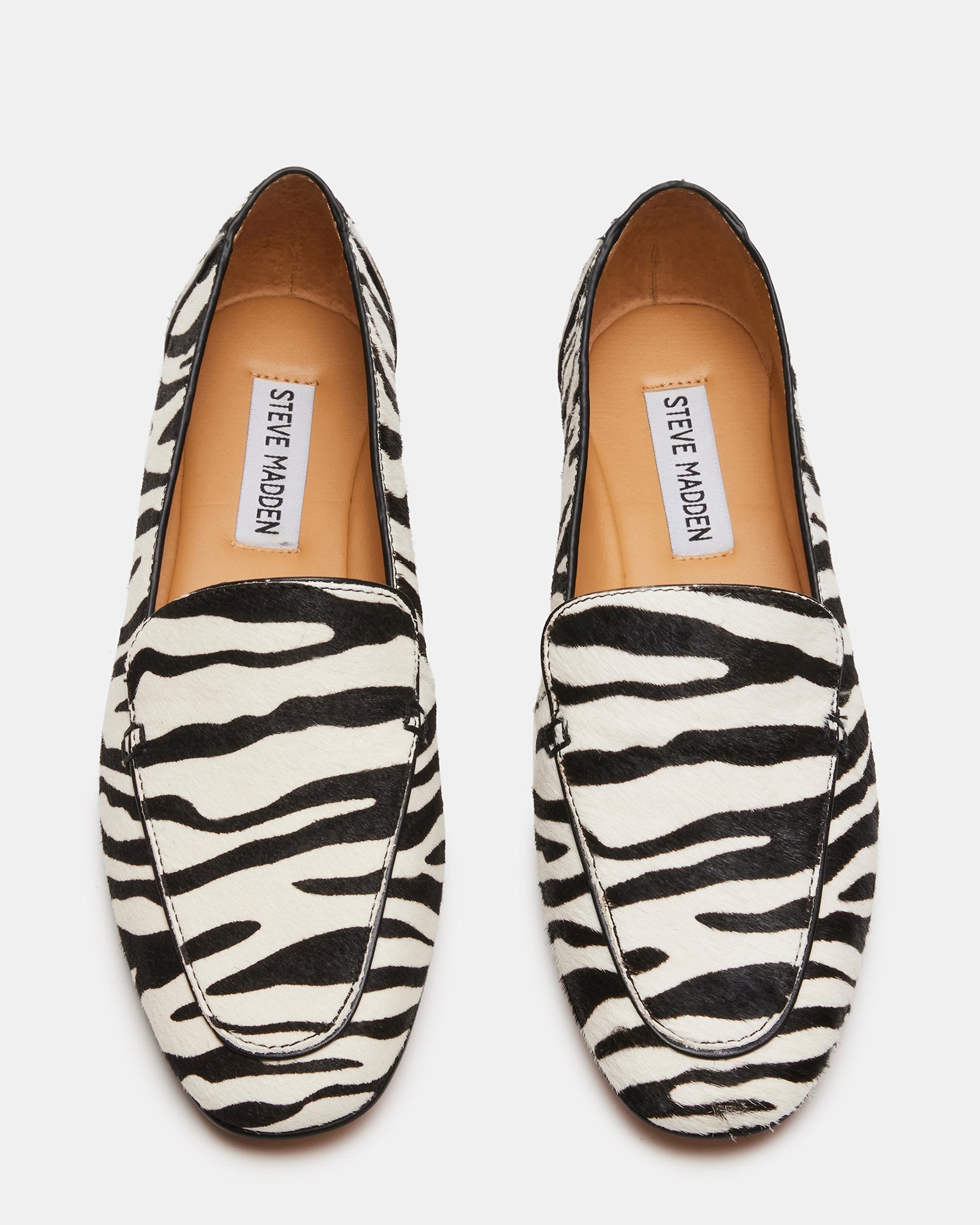 FITZ ZEBRA