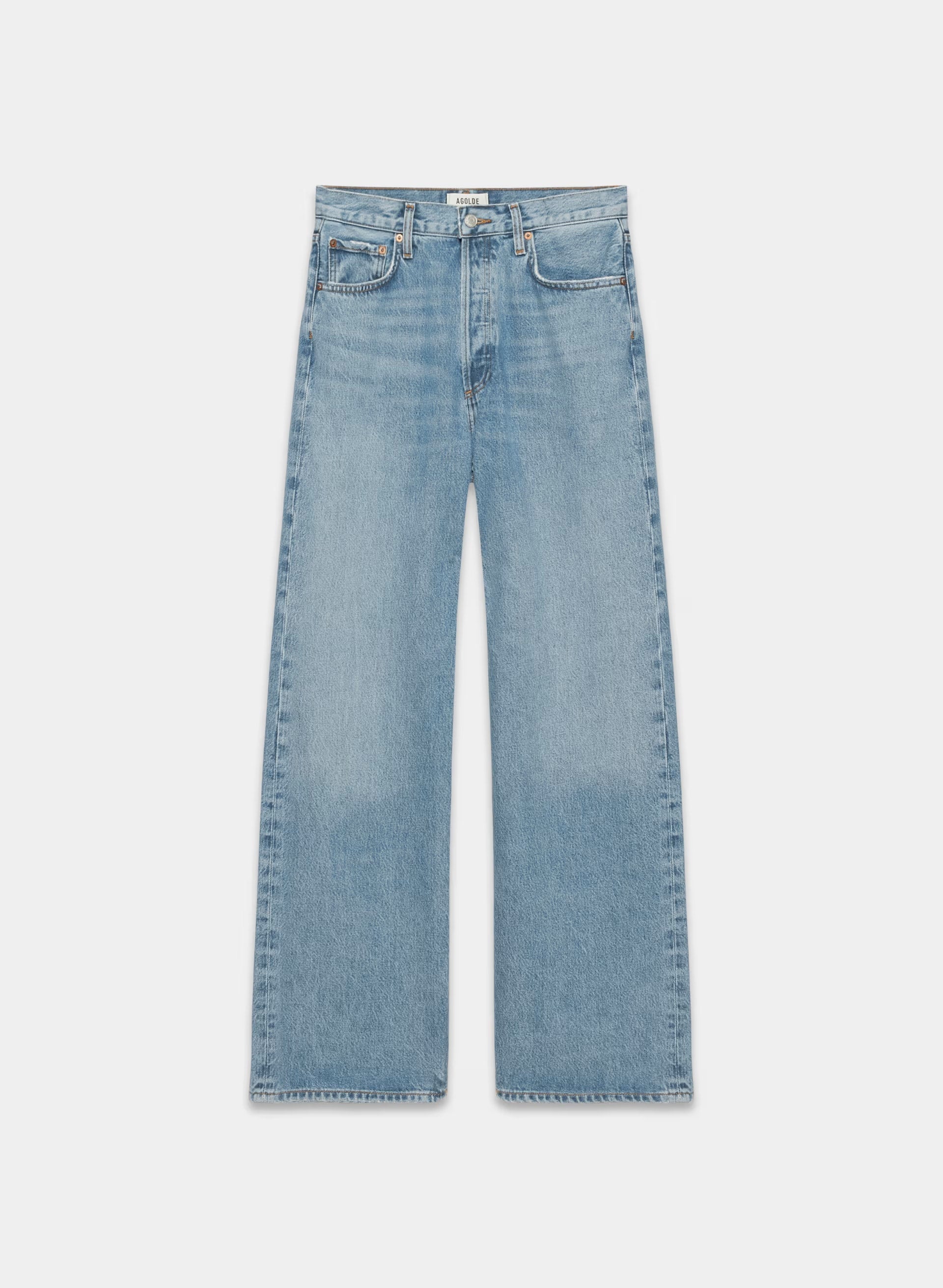AGOLDE Low-Slung Baggy Jean - LIBERTINE