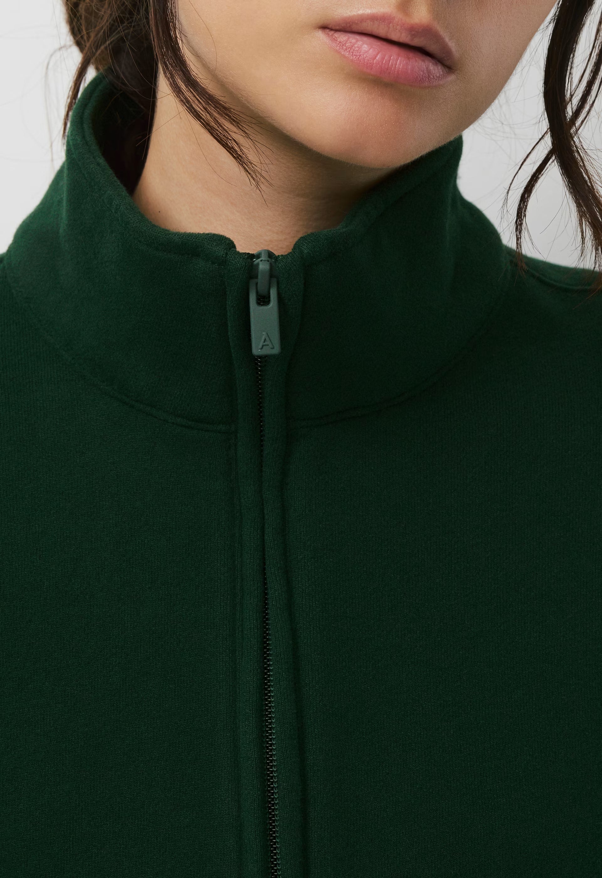 Cozy Sweatfleece Boyfriend 1/2 Zip - FIGTREE GREEN