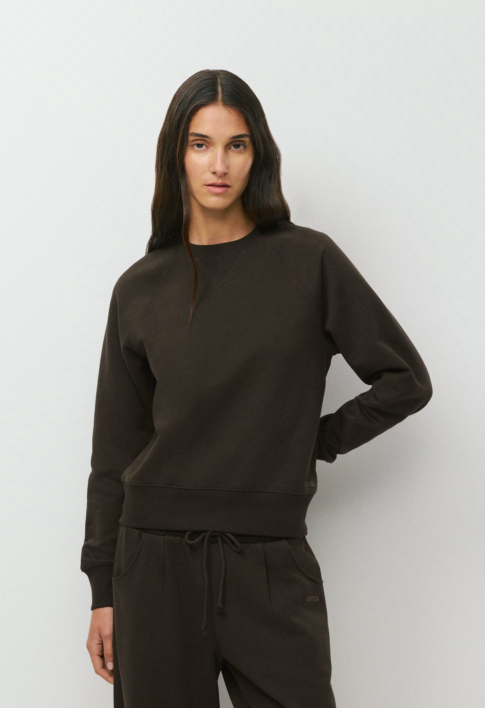 Terry Sweatfleece Perfect Raglan Sweatshirt - CACAO NIB BROWN