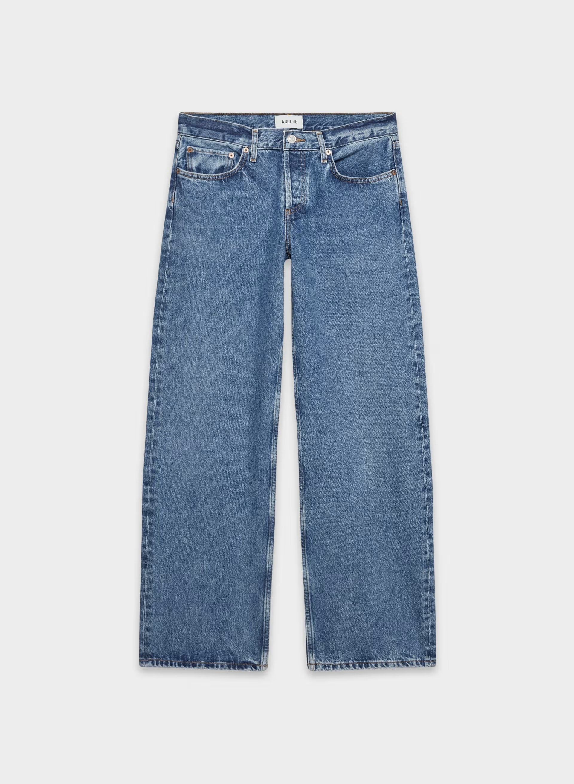 AGOLDE Low Rise Loose Jean - CHARGE