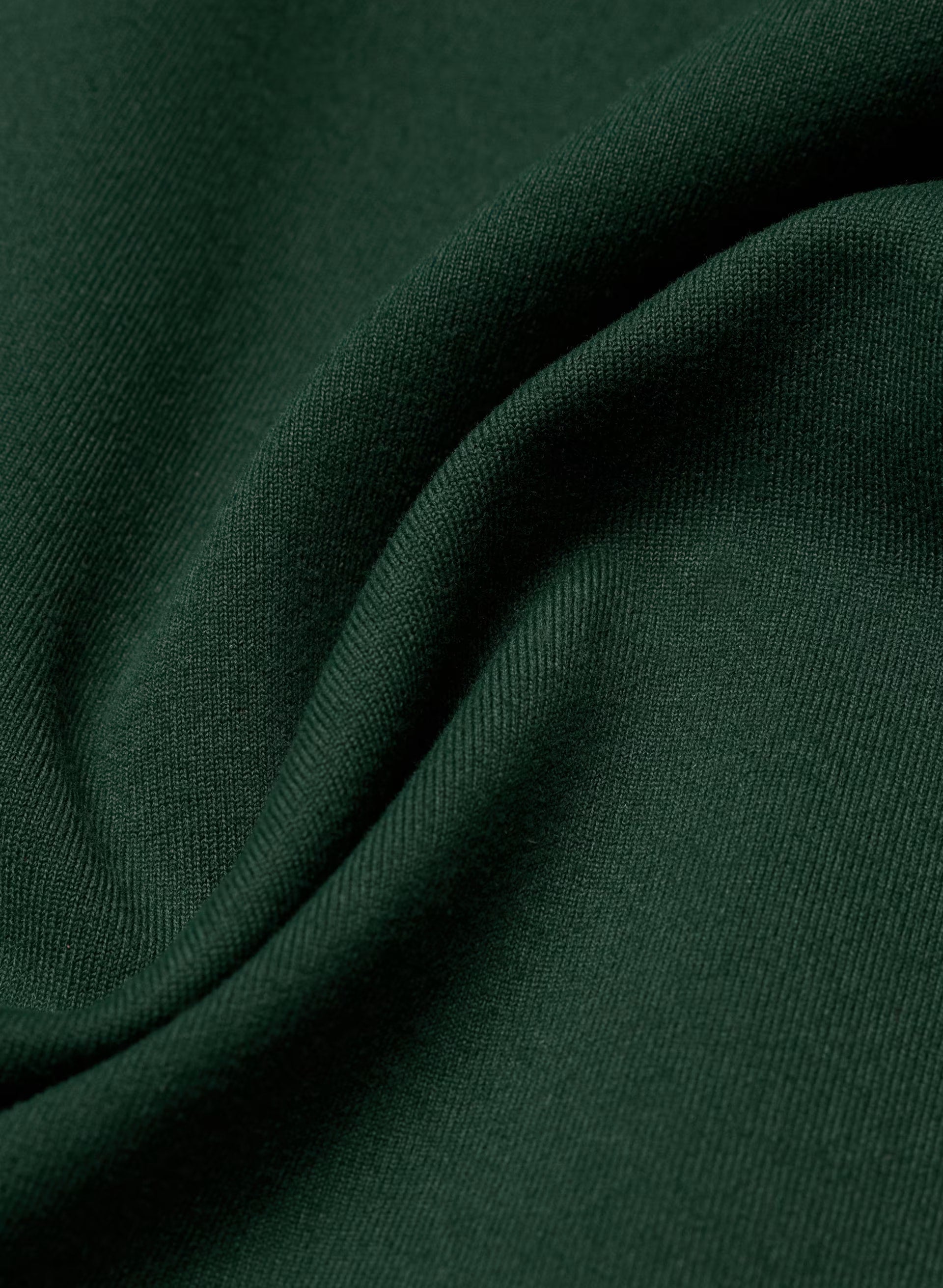 LIFE Recovery Pant - FIGTREE GREEN