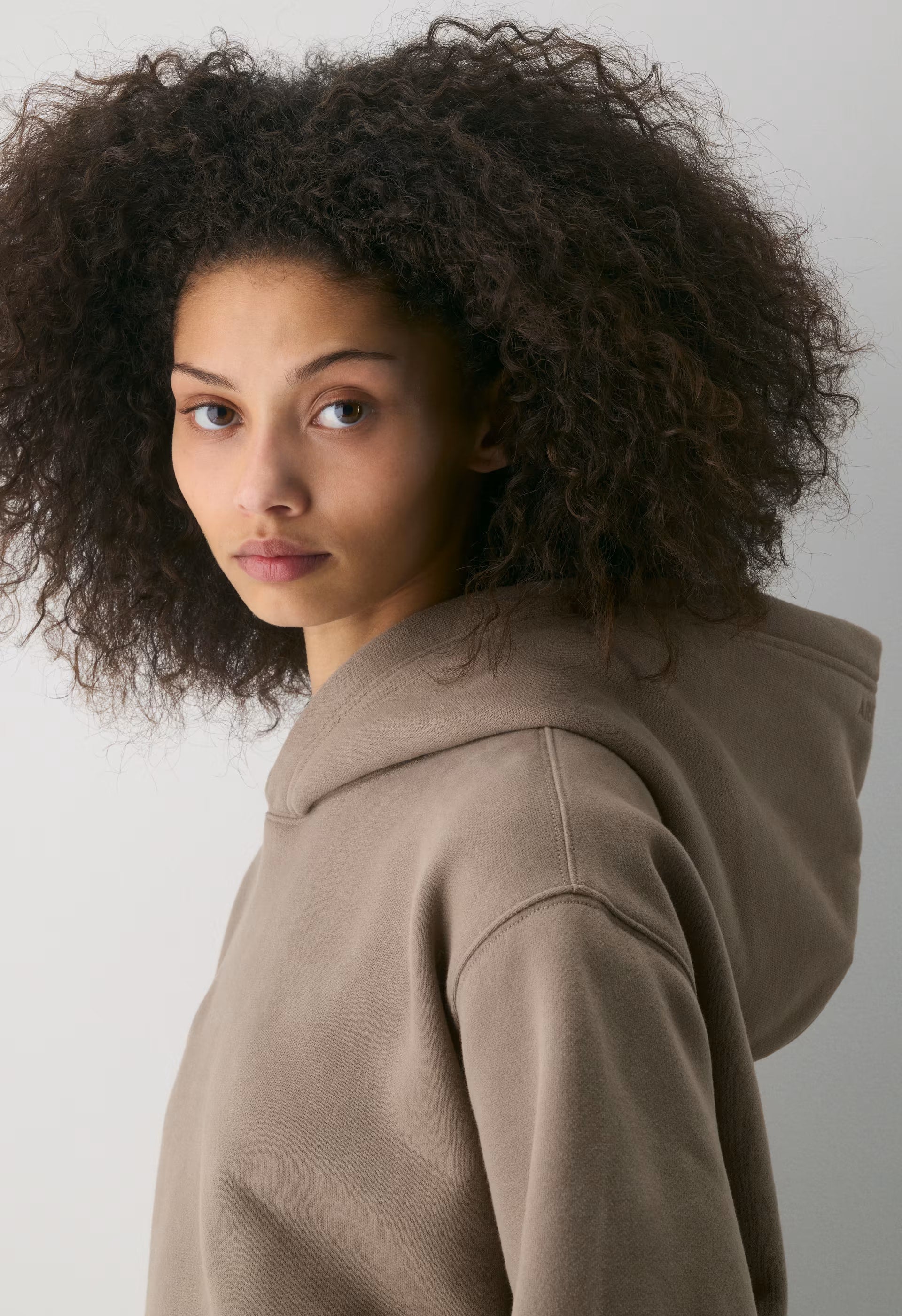 Cozy Sweatfleece Perfect Hoodie - NOMAD TAUPE