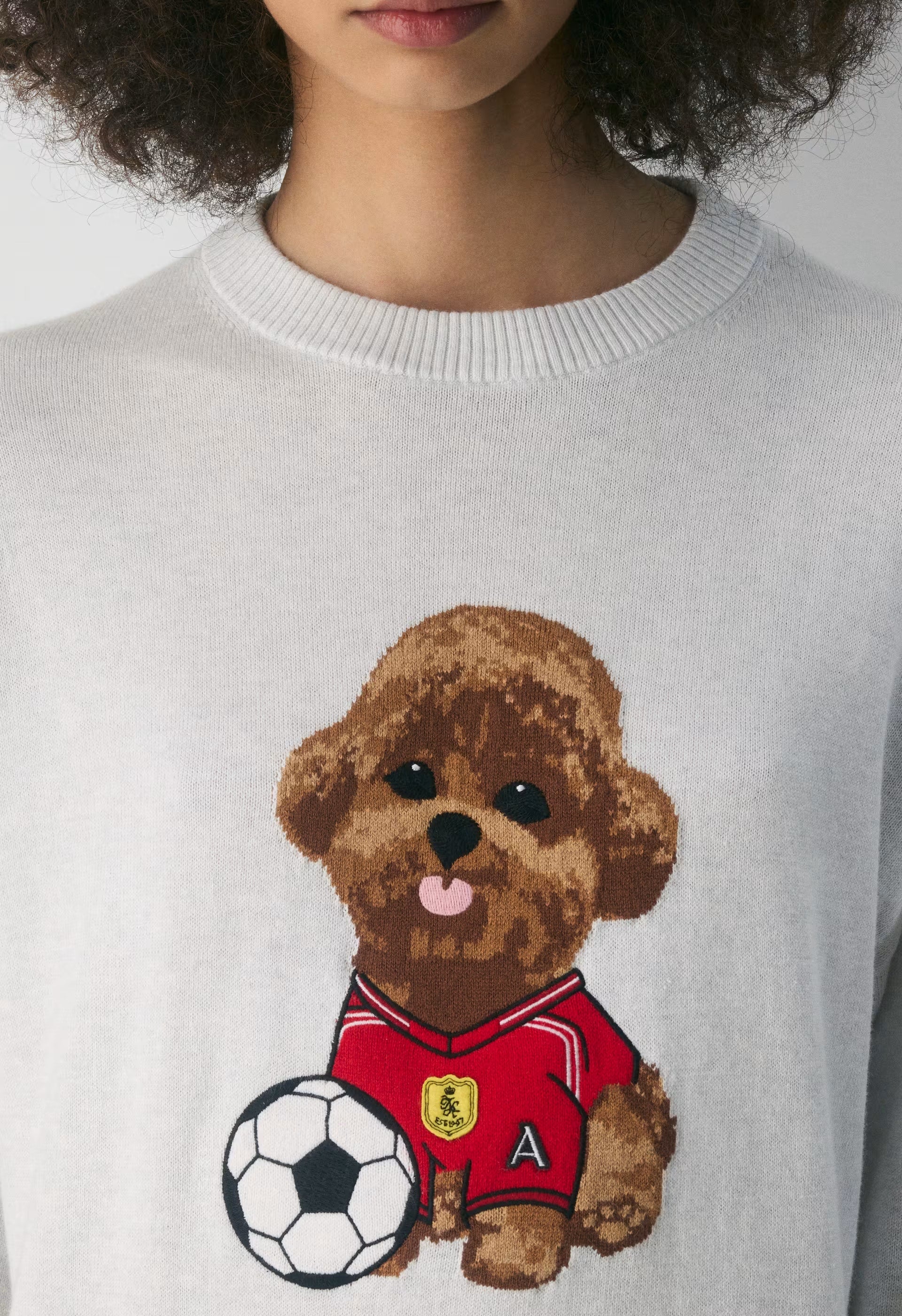 Cotton Charm™ Prep Icon Sweater - HTHR CLD WT/FLSHNG RD