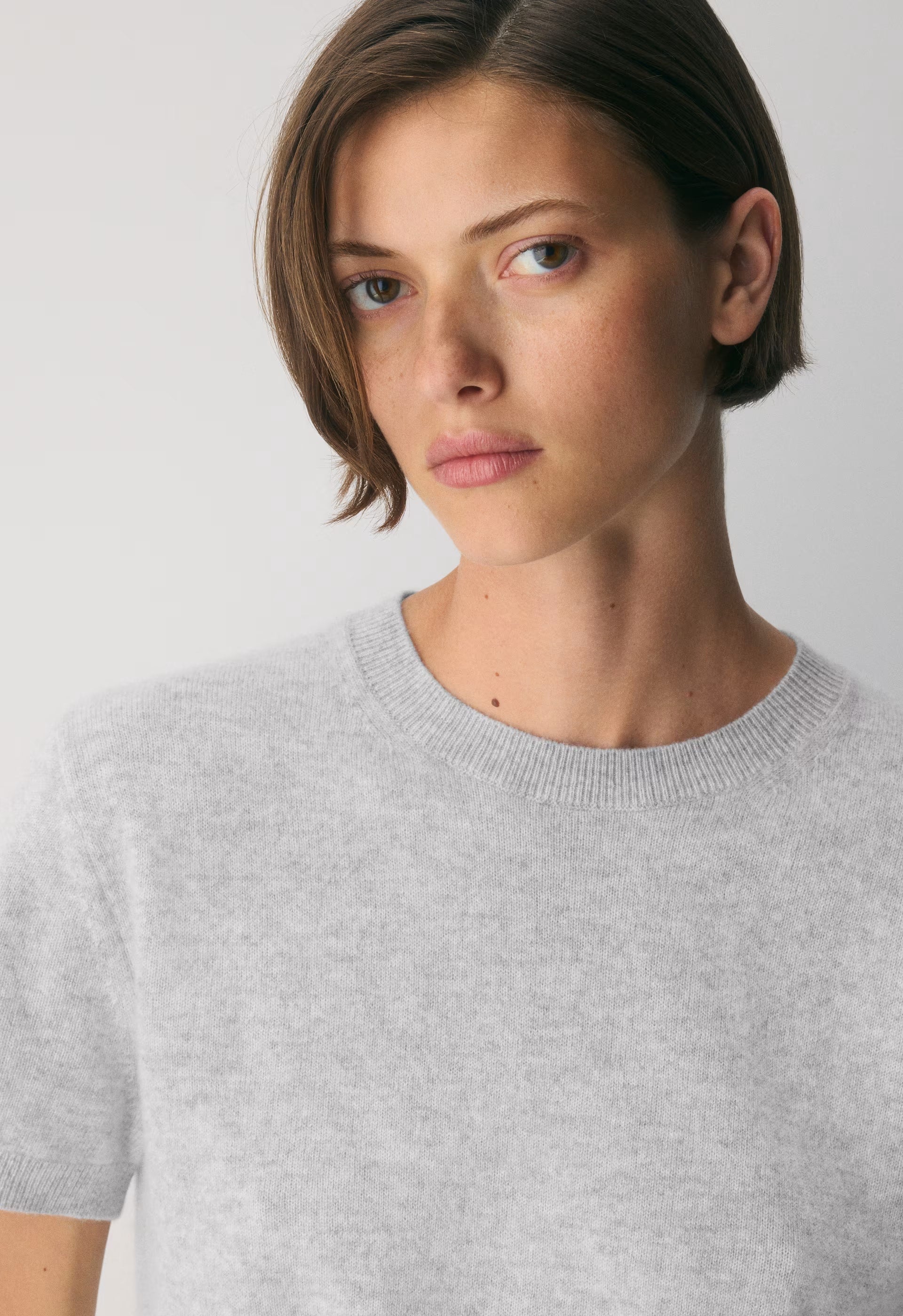 Bare Cashmere Bloor Shortsleeve Sweater - HEATHER CHROME