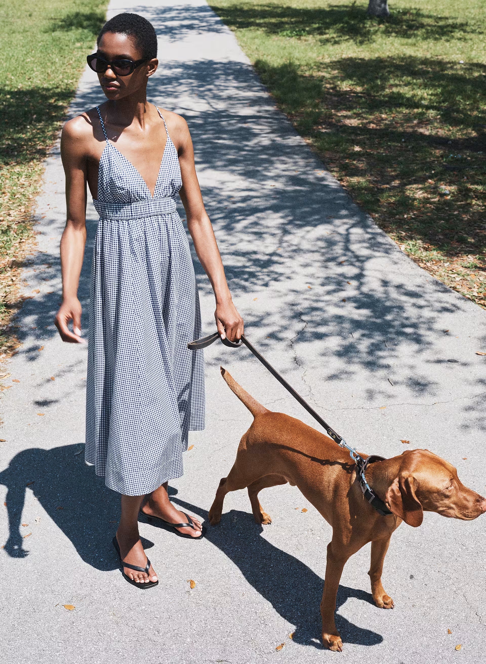 Encourage Poplin Cami Dress - SRPN CK LT BRH/HBR NVY