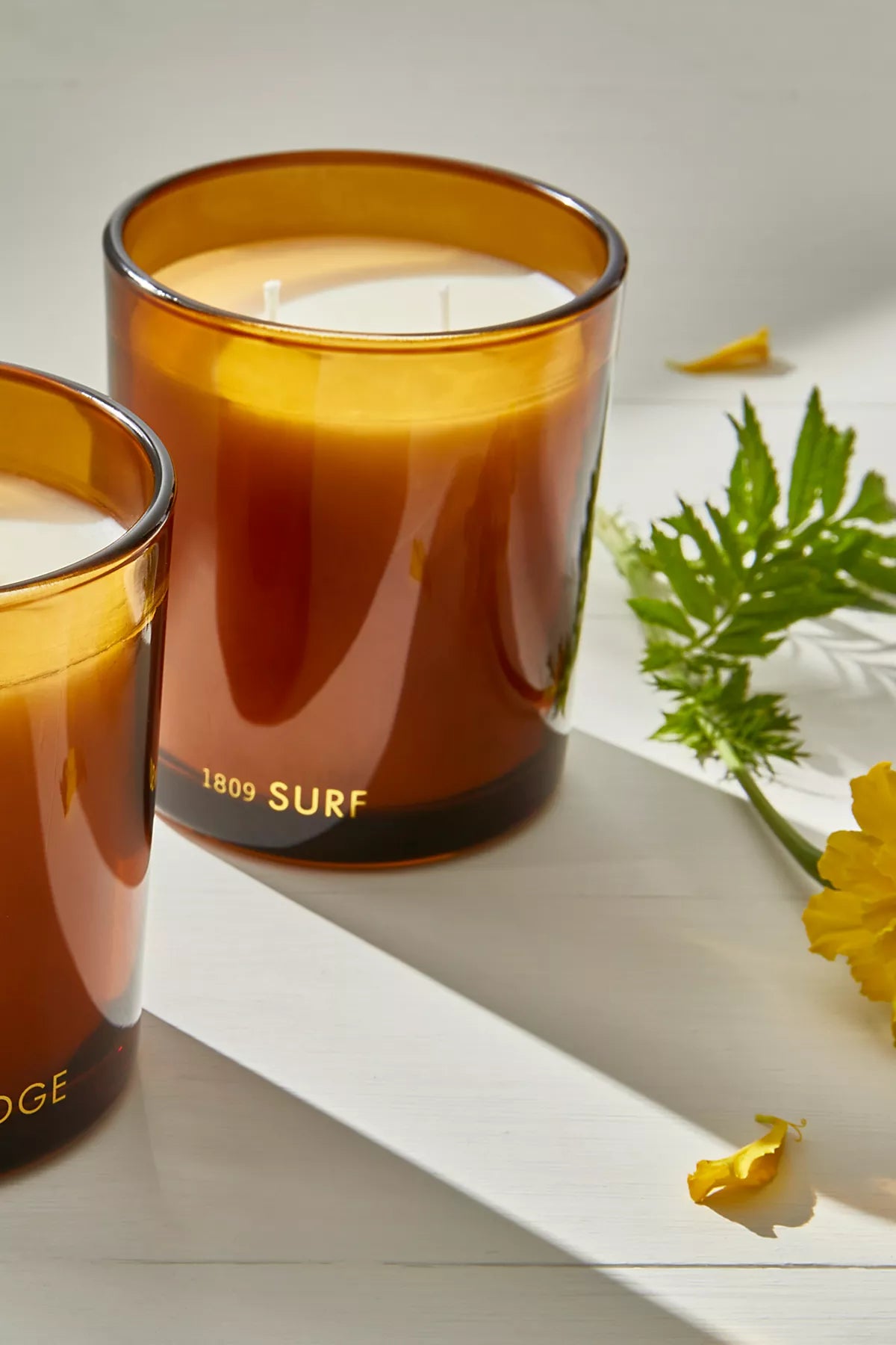 Free People 1809 Collection 2-Wick Candles