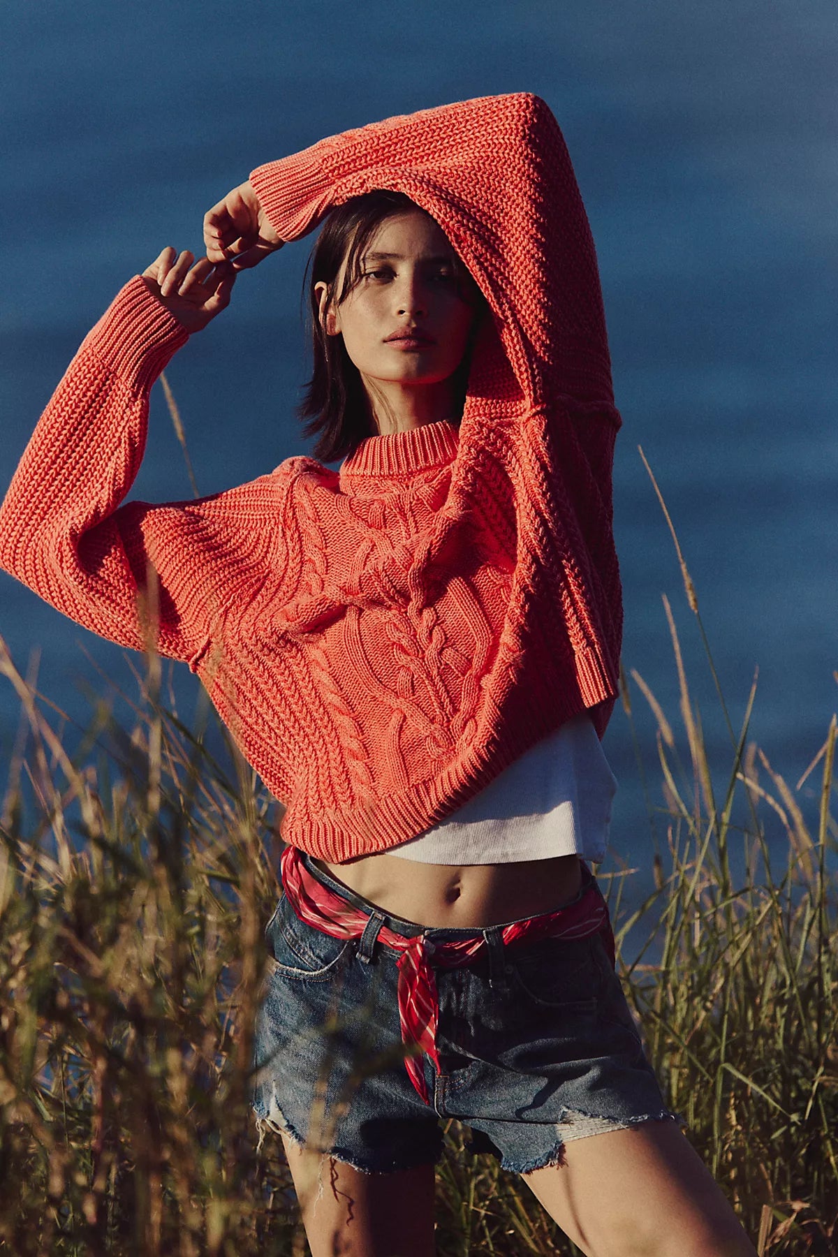 Frankie Cable Knit Cotton Sweater